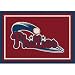 Philadelphia Phillies 3'10" x 5'4" Team Spirit Area Rug