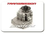 Transmission / Gearbox for Gas Scooter Go Kart Pocketbike Mini Chopper and More