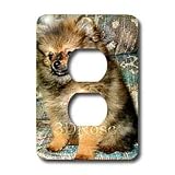 Dogs Pomeranian - Roxy, Pomeranian Puppy - Light Switch Covers - 2 plug outlet cover