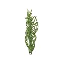 Tetra 19104 Water Wonders Fresh Water Plant Corkscrew Val, 6-Inch