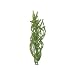 Tetra 19104 Water Wonders Fresh Water Plant Corkscrew Val, 6-Inch