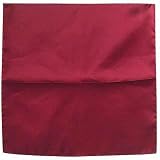  : Forzieri Cranberry Silk Pocket Square