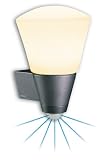 Steinel L 262 S SensorLeuchte alu-anthrazit