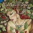 Woodland Faeries 2010 Wall Calendar