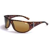 Bolle Faze Sunglasses - Dark Tortoise - TLB Dark - 10849