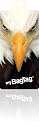 Eagle Bag Tag x 2