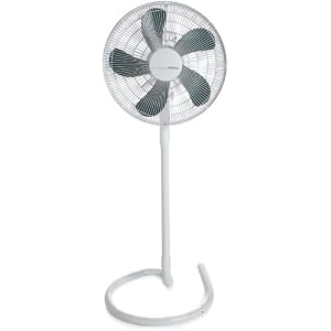 Holmes HASF1516 Convertible 16-Inch Stand/Floor Fan with Elegant Swirl Base