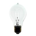 1920 Antique Replica Light Bulb, 60 Watt, 120 Volt, 16 Candle Power
