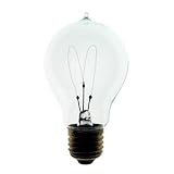 1920 Antique Light Bulb / 60 Watt, 120 Volt / Double Loop Filament Antique Reproduction Light Bulb