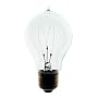 1920 Antique Replica Light Bulb / 30 Watt, 120 Volt / Double Loop Filament Reproduction Light Bulb