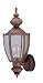 Zenith Motion Sensing Brass Coach Light
