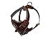 Dean & Tyler Dog Harness Medium - Brown - Handmade From High Quality Leather - For Medium Dogs Like Amstaff, German Shepherd - Also Available in Large & Black ! Contact Us to Get a Different Size