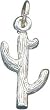 Sterling Silver Cactus Charm