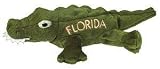 Mary Meyer Florida Gator