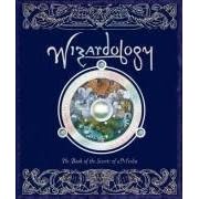 Wizardology: 2008 Wall Calendar