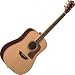 D56SW Acoustic Guitar
