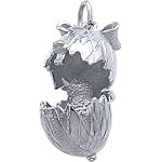 rembrandt charms