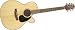 Takamine G Series EG440C NEX Acoustic Electric Guitar, Natural