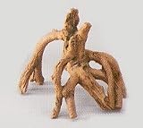 Eigenschaften Rosenau24  / Deko - Wurzel Mangrove smal