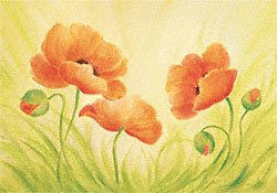 Eurographics SUB1202 Susanne Bach, Fun Poppies 24 x 30 cm, Hochwertiger Kunstdruck Preisvergleich