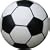 Summer Fun - Giant Inflatable Football
