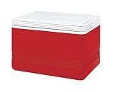 Igloo 43358 9-qt red personal size Cooler