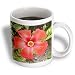 Tropical Hibiscus - bunga raya, flower, flowers, hibiscus, hibiscus rosa sinensis, plant, plants - 11oz Mug