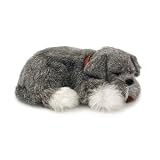 Perfect Petzzz Schnauzer