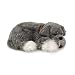   - Perfect Petzzz Schnauzer