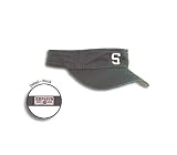 Michigan State Slide
