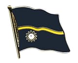 Flaggenpin Nauru Pin Flagge