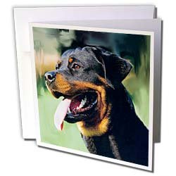 image link -  - B002O1QSWM