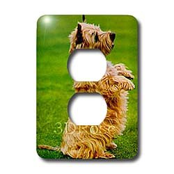 Cover image : Dogs Cairn Terrier - Cairn Terrier - Light Switch Covers - 2 plug outlet cover
