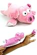 "Wally" the Flying Pig