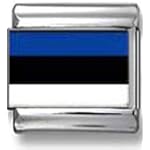 Estonian Flag