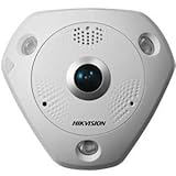 UPC 816783017810 product image for PANARAMIC 180/360 DEGREE, OUTDOOR, 6MP, DAY/NIGHT, IR, POE/12VDC | upcitemdb.com