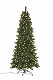 Celebrations Prelit Slim Oregon Pine Tree ( ORPR - 321 - 75 ) - B001IEH0PK