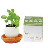 mint eggling