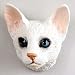 oriental shorthair - Oriental Shorthair White Magnet