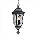 Savoy House Lighting KP-5-302-BK Monticello Collection 3-Light Outdoor Hanging Entry Lantern, Black Finish with Clear Watered Glass