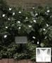 Solar Star Lights - Red, White and Blue 45 LED