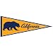 University of California Golden Bears Pennant (2-Pack)