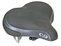 Sunlite Cloud-9 Bicycle Suspension Cruiser Saddle, Cruiser Gel, Tri-color Emerald