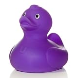 Bud Aroma Duck-purple/grape