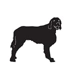 Sport Dog Pet Irish Setter Car Truck Vehicle Bumper Helmet Decal Sticker Wall Art Laptop Design Skin Stickers