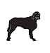 Sport Dog Pet Irish Setter Car Truck Vehicle Bumper Helmet Decal Sticker Wall Art Laptop Design Skin Stickers