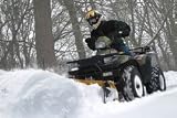 Warn 68710 Cyclone Angled Plow Blade