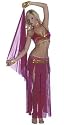 Turkish Delight Sexy Costume