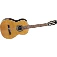 La Patrie Guitar, Collection