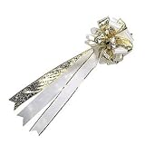 Poly Ribbon With Leaf Design Designer Bow - Silver